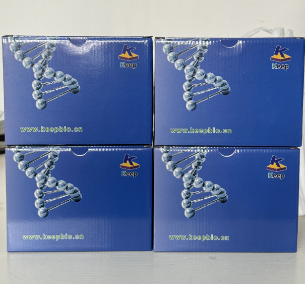 KP147-K5 GelGreen plus 核酸染料